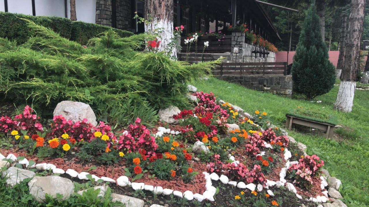 Hanul Izvorul Rece Sinaia Exteriör bild