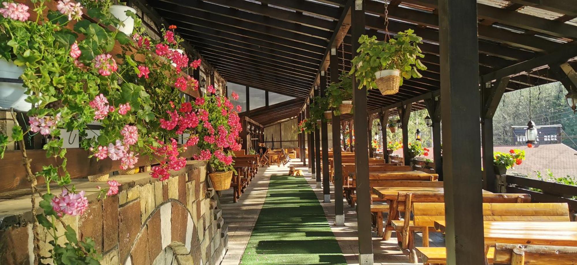 Hanul Izvorul Rece Sinaia Exteriör bild